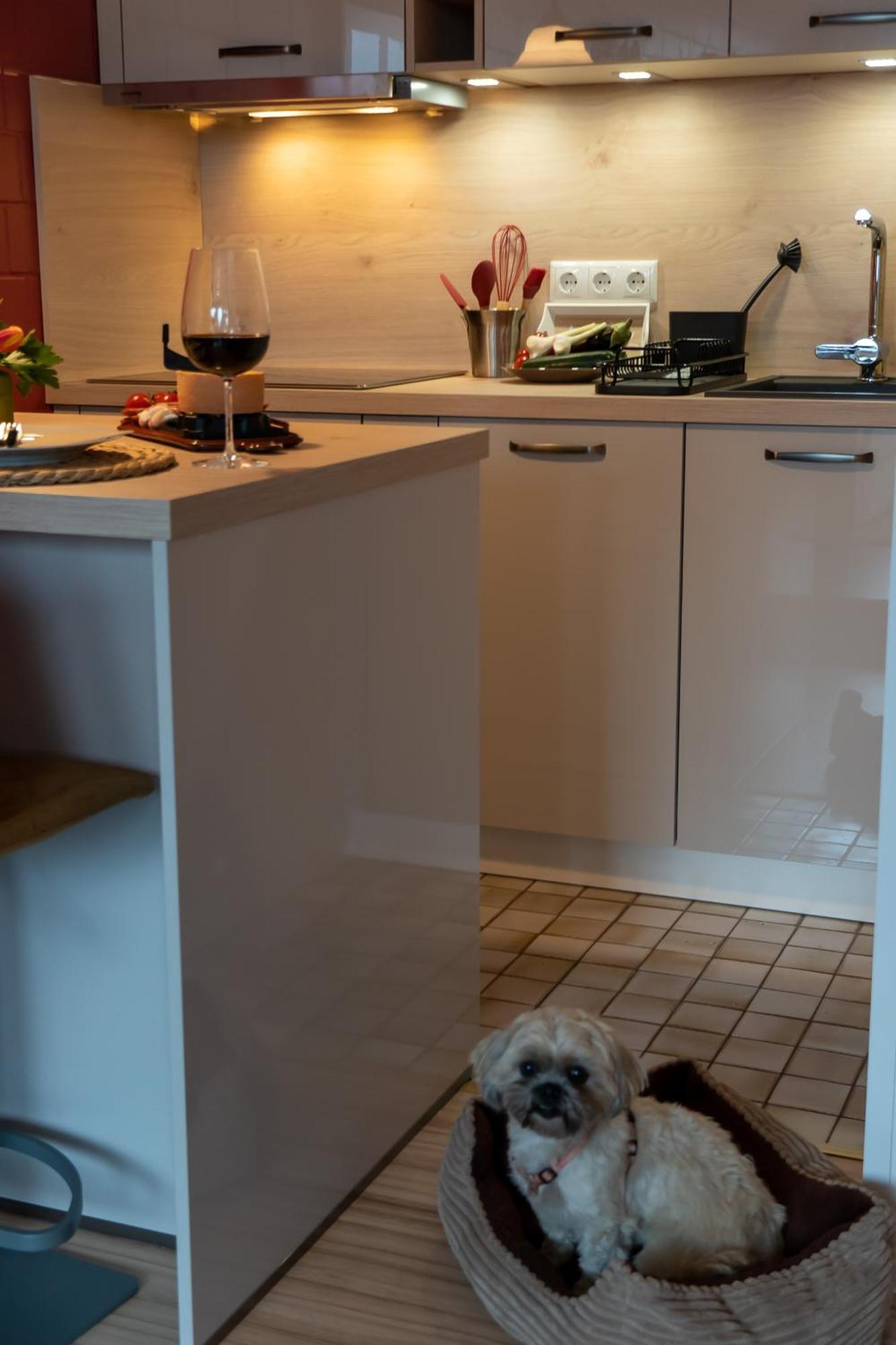 Fewo Harzer Weitblick, Hunde Willkommen, W-Lan, 2X Smart Tv, Dtv 4 Sterne, 4 Pfoten Braunlage Ngoại thất bức ảnh